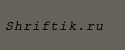 ER Kurier 866 Italic 